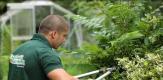 ESTAMOS EN LA BÚSQUEDA DE JARDINEROS PARA IMPORTANTE EMPRESA MULTINACIONAL, SE OFRECE EXCELENTES CONDICIONES DE CONTRATACIÓN jardinero para empresa multinacional gardener personal de mantenimiento de áreas verdes