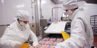 SE PRECISA OPERARIA/O PARA FABRICA (ENVASADO), INDUSTRIA DE ALIMENTOS. JORNADA COMPLETA, TURNOS ROTATIVOS DE LUNES A VIERNES operarias de envasado trabajadores para insdustria de alimentos personal masculino y femenino packaging workers food industry workers male and female staff