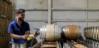 SE PRECISA PEÓN DE BODEGA PARA ALMACÉN DE VINOS, JORNADA COMPLETA INCORPORACIÓN INMEDIATA empleado para almacen de vinos bottling employees in wine cellar
