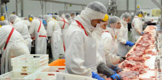 SOLICITAMOS PERSONAL DE PRODUCCIÓN (HOMBRES Y MUJERES) PARA EMPRESA DE CARNES Y MARISCOS, FULL TIME personal de produccion para empresa de carnes y mariscos production staff for meat and seafood company