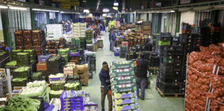 SE NECESITAN TRABAJADORES PARA PROCESAMIENTO DE FRUTAS Y VERDURAS PART TIME (PRODUCCIÓN, CONTROL DE CALIDAD, ENVASADO Y ETIQUETADO) procesamiento envasado y etiquetado de frutas y verduras processing packaging and labeling of fruits and vegetables