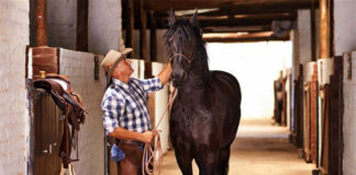 SE SOLICITAN 2 AYUDANTES PARA RANCHO DE CABALLOS (NO SE REQUIERE EXPERIENCIA), FULL TIME 1ER TURNO cuidador de caballos Horse caretaker