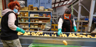 SE NECESITAN EMPACADORES/AS DE PAPAS, NO SE REQUIERE EXPERIENCIA. FULL TIME, SE OFRECE BUEN PAGO POR HORA empacadores de papas potato packers hombres y mujeres con o sin experiencia