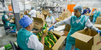 SE NECESITAN TRABAJADORES DE PRODUCCIÓN (HOMBRES Y MUJERES), NO SE REQUIERE EXPERIENCIA. FULL TIME Production Workers Production Workers