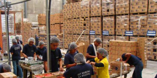 SE PRECISAN TRABAJADORES/AS PARA ALMACÉN (MÍNIMA EXPERIENCIA), TURNO DE MAÑANA DE LUNES A VIERNES trabajadores de almacen warehouse operator envasado etiquetado carga y descarga