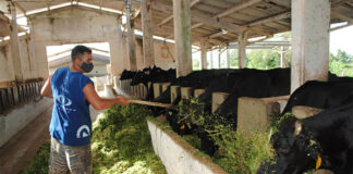 SE BUSCA PEÓN GANADERO PARA GRANJA DE TERNEROS (CON O SIN EXPERIENCIA), COMIENZO INMEDIATO peon ganadero Worker for Livestock Farm