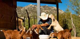 SE NECESITA PEÓN GANADERO PARA FINCA (CON O SIN EXPERIENCIA), JORNADA COMPLETA HORARIO FLEXIBLE Peon Ganadero Para Finca Employee For Ranch male staff