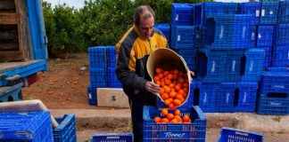 SE BUSCAN TRABAJADORES GENERALES PARA GRANJA DE FRUTAS Y VERDURAS, JORNADA FULL TIME BUEN PAGO Trabajadores Generales Para Granja De Frutas y Verduras farm workers