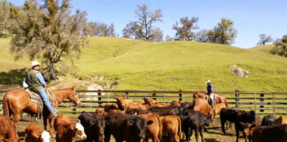 SE NECESITAN TRABAJADORES AGRÍCOLAS/GANADEROS PARA RANCHO (CON O SIN EXPERIENCIA), FULL TIME. SE OFRECE ALOJAMIENTO Trabajadores agricolas ganaderos para finca de ganado vacuno Worker For Cattle Farm