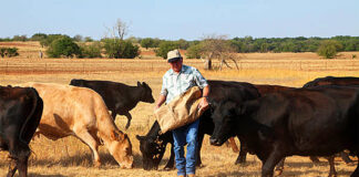SE SOLICITA AYUDANTE PARA RANCHO (MANO DE OBRA EN GENERAL), POCA EXPERIENCIA. BUEN PAGO Ayudante Para Rancho ranch helper