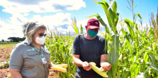 SE NECESITAN PEONES/AS DE CAMPO (CON O SIN EXPERIENCIA), SE OFRECE ALOJAMIENTO Y SALARIO SEGÚN CONVENIO Peones/as De Campo agricultural farm