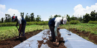 SE BUSCA TRABAJADOR PARA GRANJA ORGÁNICA (GANADERÍA COMBINADA Y AGRICULTURA ECOLÓGICA), NO SE REQUIERE EXPERIENCIA Trabajador Para Granja Orgánica farm workes