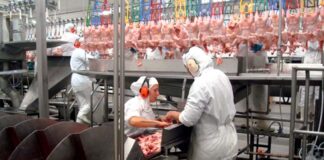 SE NECESITA TRABAJADOR/A DE PRODUCCIÓN (NO SE REQUIERE EXPERIENCIA, NI ESTUDIOS), PART TIME DE LUNES A JUEVES, 1ER TURNO Trabajador/a De Producción production workers