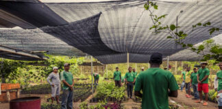 SOLICITAMOS TRABAJADORES/AS PARA VIVERO (CON O SIN EXPERIENCIA), LABORES GENERALES. EXCELENTE PAGO Trabajadores/as Para Vivero nursery worker