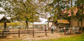 SE NECESITA OBRERO/AYUDANTE PARA RANCHO (MÍNIMA EXPERIENCIA), SE OFRECE BUENA REMUNERACIÓN Obrero/Ayudante worker for ranch