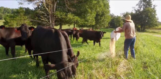 SE SOLICITA TRABAJADOR GANADERO PARA RANCHO (NO REQUIERE EXPERIENCIA), HORARIO FLEXIBLE Trabajador Ganadero livestock workers
