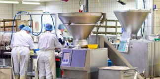 SE PRECISA OPERARIO DE ENVASADO Y LIMPIEZA PARA FABRICA DE PAPAS FRITAS (CON O SIN EXPERIENCIA), TURNOS ROTATIVOS MAÑANA Y TARDE Operario De Envasado y Limpieza Packaging and Cleaning Operator