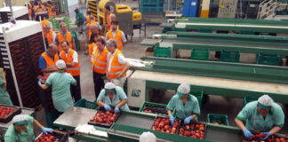 SE NECESITAN 3 TRABAJADORES PARA GRANJA DE FRUTAS (CON O SIN EXPERIENCIA, SE ENTRENARÁ), SE OFRECE ALOJAMIENTO Y BUEN PAGO Trabajadores Para Granja De Frutas workers for fruit farm