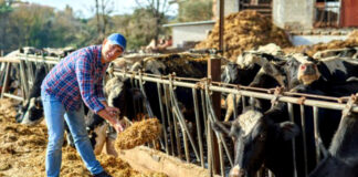 SE NECESITAN TRABAJADORES PARA RANCHO (LABORES GENERALES Y PRODUCCIÓN DE GANADO), 3 VACANTES Trabajadores Para Rancho ranch workers