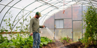 SE NECESITAN OBREROS/AS AGRÍCOLAS PARA VIVERO/INVERNADERO (NO REQUIERE EXPERIENCIA), BUEN PAGO Obreros/as Agrícolas agricultural workers