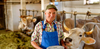 SE BUSCA TRABAJADOR PARA RANCHO DE VACAS LECHERAS (CON O SIN EXPERIENCIA), TIEMPO PARCIAL. EMPLEO PERMANENTE Trabajador Para Rancho De Vacas Lecheras dairy ranch worker