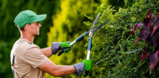 SE NECESITA JARDINERO TIEMPO COMPLETO, SE OFRECE EXCELENTE REMUNERACIÓN. INGRESO INMEDIATO Jardinero Gardener