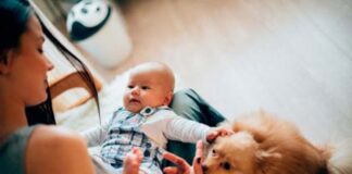 SE NECESITA NIÑERA 3 DÍAS A LA SEMANA (TURNO TARDE), PARA EL CUIDO DE BEBÉ. BUEN PAGO Niñera babysitter