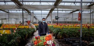 SE SOLICITA OPERARIO/A DE INVERNADERO TURNO DE MAÑANA, MÍNIMA EXPERIENCIA. INCORPORACIÓN INMEDIATA Operario/a De Invernadero greenhouse operator