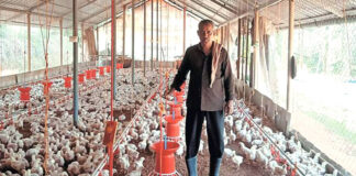 SE SOLICITA TRABAJADOR PARA GRANJA AVÍCOLA (CON O SIN EXPERIENCIA), FULL TIME. CONTRATO TODO EL AÑO Trabajador Para Granja Avícola poultry farm worker