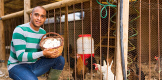 SE BUSCAN 2 AYUDANTES PARA GRANJA AVÍCOLA (AVES DE CORRAL), CON O SIN EXPERIENCIA. 30 A 40 HORAS SEMANALES Ayudantes Para Granja Avícola poultry farm worker