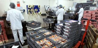 SOLICITAMOS PERSONAL DE PRODUCCIÓN Y EMPAQUE (CON O SIN EXPERIENCIA), EXCELENTE PAGO POR HORA. INGRESO INMEDIATO Personal De Producción y Empaque production and packaging personnel trabajador