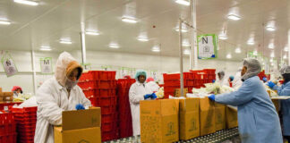 SE NECESITA AUXILIAR DE EMPAQUE Y PRODUCCIÓN (HOMBRE O MUJER), INDUSTRIA PANIFICADORA. TURNO DIURNO Y MIXTO Auxiliar De Empaque y Producción packaging and production assistant