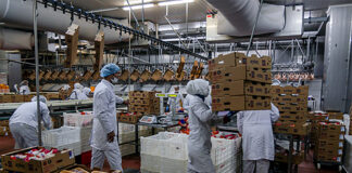 SE NECESITAN OPERARIOS/AS DE PRODUCCIÓN CON O SIN EXPERIENCIA (5 VACANTES), EMPRESA DE ALIMENTOS Operarios/as De Producción production operators
