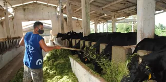 SE NECESITAN 2 AYUDANTES PARA GRANJA Y RANCHO (POCA EXPERIENCIA), OPERACIONES AGRÍCOLAS Y GANADERAS Ayudantes Para Granja y Rancho farm and ranch helper