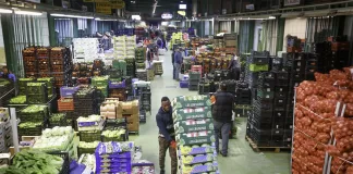 SE PRECISA CARRETILLERO/A PARA ALMACÉN DE FRUTAS (MÍNIMA EXPERIENCIA), INCORPORACIÓN INMEDIATA. BUEN SALARIO Carretillero/a Para Almacén De Frutas Fruit Warehouse Forklift