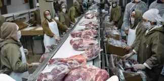 SE SOLICITAN 4 ENVASADORES/AS DE CARNE (CON O SIN EXPERIENCIA), BUEN SALARIO Envasadores/as De Carne meat packers