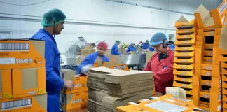 SE NECESITA OPERARIO/A DE ENVASADO PARA INDUSTRIA AGROALIMENTARIA (CON O SIN EXPERIENCIA), BUEN SUELDO Operario/a De Envasado packaging operators