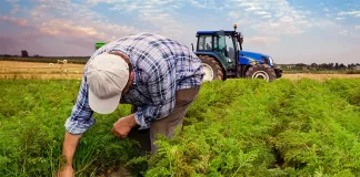 SE SOLICITA TRABAJADOR AGRÍCOLA CON O SIN EXPERIENCIA (GRANJA MIXTA), SE OFRECE ALOJAMIENTO Y BUEN PAGO Trabajador Agrícola agricultural worker