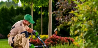 SE PRECISA JARDINERO/A (EMPRESA DEL SECTOR VITIVINÍCOLA), MÍNIMA EXPERIENCIA. BUENA REMUNERACIÓN, INGRESO INMEDIATO Jardinero/a gardener