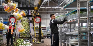 SE SOLICITA PERSONAL PARA ALMACÉN DE FLORES (CON O SIN EXPERIENCIA), HORARIOS FLEXIBLES. INGRESO INMEDIATO Personal Para Almacén De Flores flower store staff