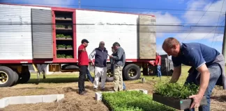 SE SOLICITA REPARTIDOR/A PARA VIVERO, INCORPORACIÓN INMEDIATA. BUENA REMUNERACIÓN Repartidor/a Para Vivero nursery delivery driver