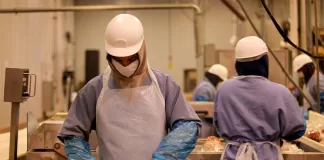 SE NECESITA TRABAJADORES DE PRODUCCIÓN (CON O SIN EXPERIENCIA) PARA INDUSTRIAS CÁRNICAS. CONTRATÓ POR TIEMPO INDEFINIDO Trabajadores De Producción production workers
