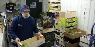 SE PRECISAN ENVASADORES DE VERDURAS (PIMIENTO, BRÓCOLI Y LECHUGA), CON O SIN EXPERIENCIA. BUEN PAGO Envasadores De Verduras vegetable packers