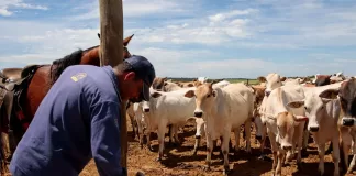 SE NECESITAN TRABAJADORES/AS PARA RANCHO DE GANADO (18 VACANTES), BUEN PAGO POR HORA Trabajadores/as Para Rancho De Ganado livestock ranch worker