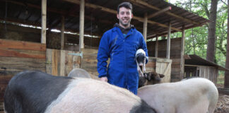 SE BUSCAN 8 AYUDANTES PARA GRANJA DE CERDOS, NO ES NECESARIO EXPERIENCIA. SE ENTRENARÁ, BUEN PAGO Ayudantes Para Granja De Cerdos pig farm helpers