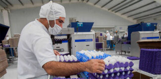 SE SOLICITA OPERARIO DE EMPAQUE Y CONTROL DE CALIDAD (DISTRIBUIDORA DE HUEVOS), NO SE REQUIERE EXPERIENCIA Operario De Empaque y Control De Calidad Packaging and Quality Control Operator