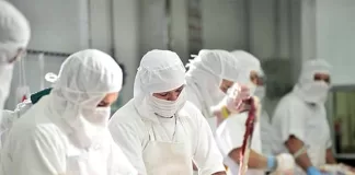 SE SOLICITA OPERARIO/A DE PRODUCCIÓN PARA INDUSTRIA CÁRNICA (CON O SIN EXPERIENCIA), APOYO EN DIFERENTES LABORES OPERATIVAS Operario/a De Producción production operators
