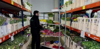 SE REQUIERE PERSONAL PARA ALMACÉN DE FLORES (MANEJO DE PALLET JACK), BUEN PAGO POR HORA Personal Para Almacén warehouse staff