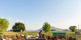 SE SOLICITAN 3 TRABAJADORES PARA GRANJA/RANCHO CON O SIN EXPERIENCIA (CULTIVOS, GANADO Y AVES DE CORRAL), SE ENTRENARÁ Trabajadores Para Granja/Rancho farm/ranch worker