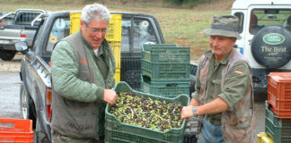 SE SOLICITAN OPERARIOS PARA FÁBRICA DE ACEITUNAS (HOMBRES Y MUJERES), NO REQUIERE EXPERIENCIA. SALARIO SEGÚN CONVENIO Operarios Para Fábrica De Aceitunas empleo de operario en España Olive Factory Operators operator employment in Spain